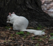 2016 06 11 WildLife MPLS 069